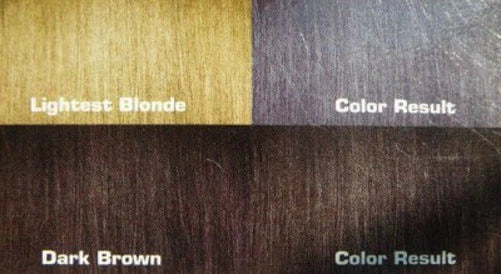 Hair color swatches showing color results on lightest blonde and dark brown hair using Lolane Pixxel P39 Intense Gray