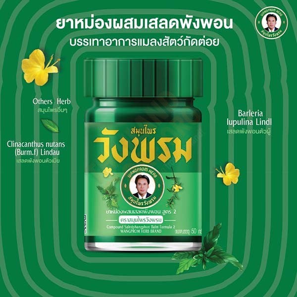  Wangphrom Green Balm Thai Herbal Balm 50g pain relief cooling massage