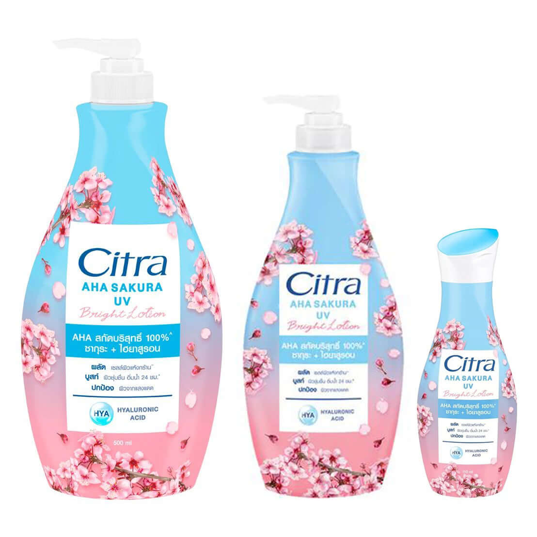 Citra AHA Sakura Lotion Bright UV Body Lotion with hyaluronic acid in three bottle sizes.
