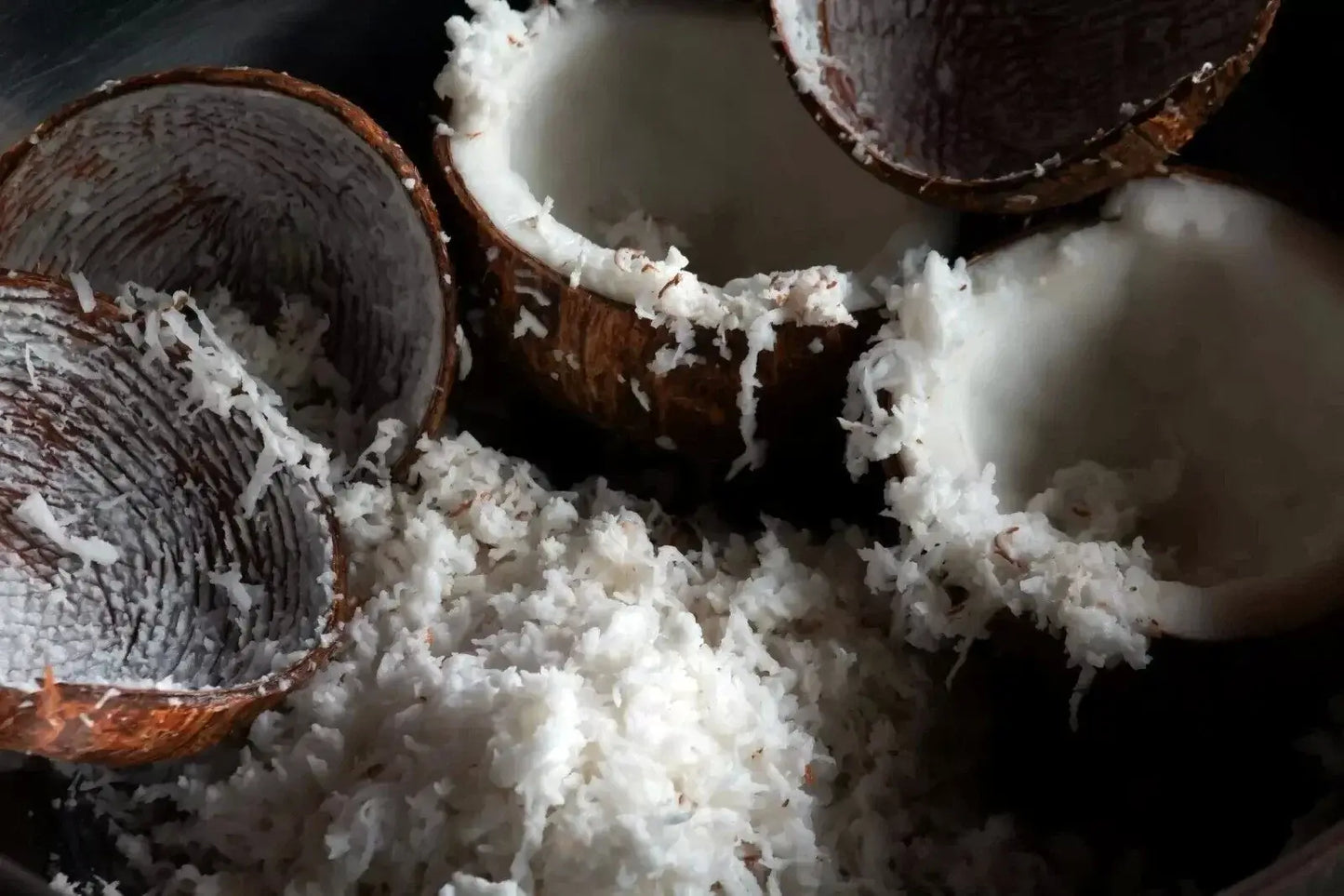 Coconut Grater Head Blade Traditional Stainless Steel Coconut Scraper in Use