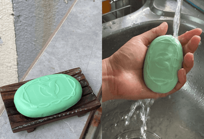 Parrot Botanicals Soap green bar in hand showing texture and size