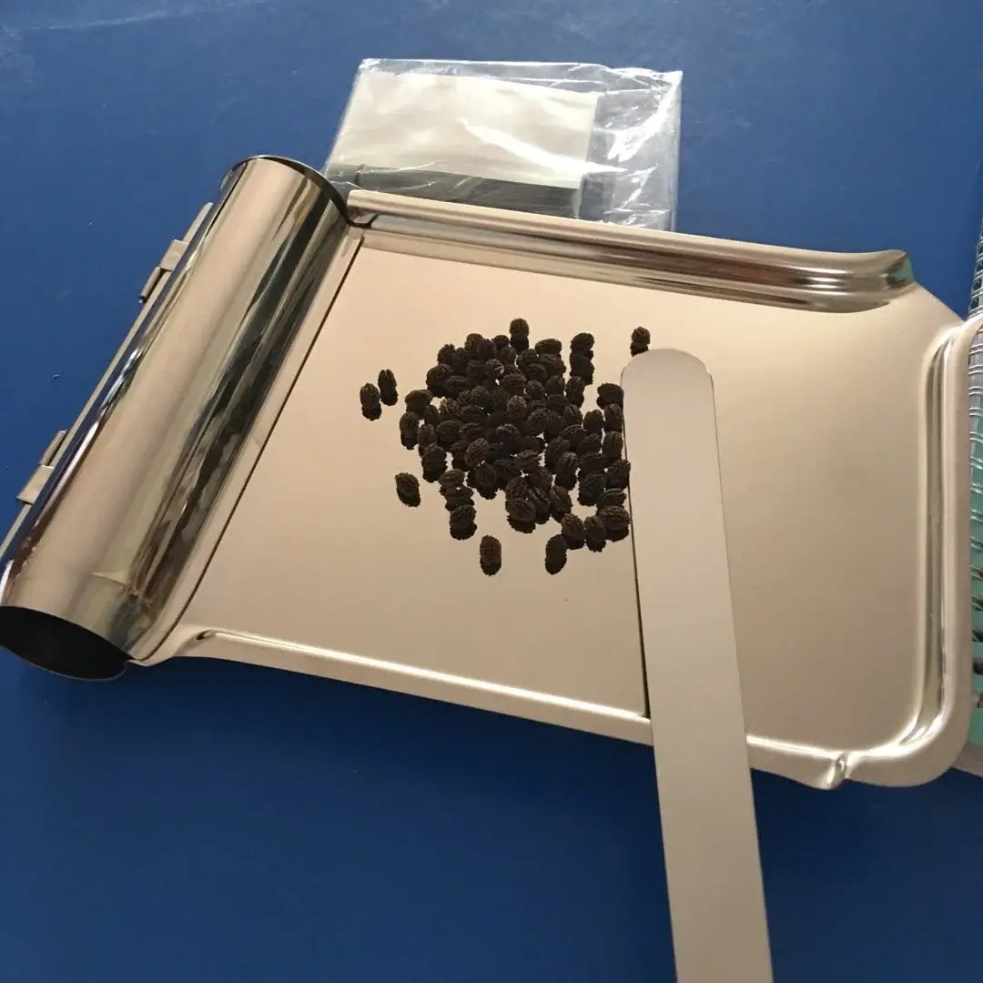 Stainless Steel Pill Counting Tray with spatula and pills, perfect for tablet counting and dispensing.
