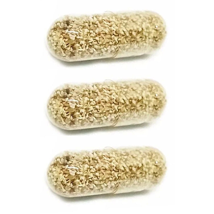 Moina Macrocopa Eggs live fish food high protein capsules for Betta and Guppy fry