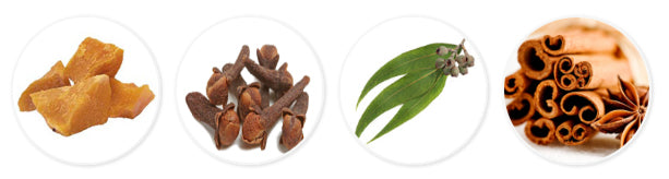 White Monkey Balm natural ingredients including camphor clove cinnamon and eucalyptus leaves