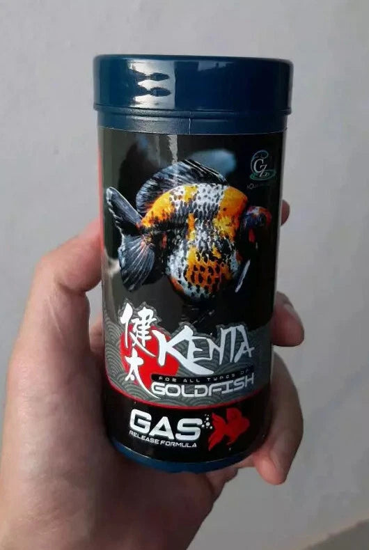 Hand holding Kenta Goldfish Food Gas Release Formula 150g pack