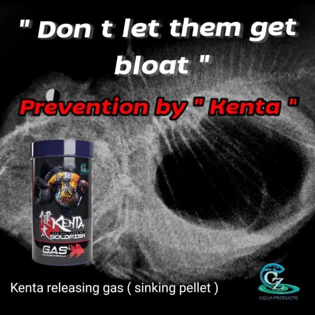 Kenta Goldfish Food swim bladder problem prevention illustration with fish image