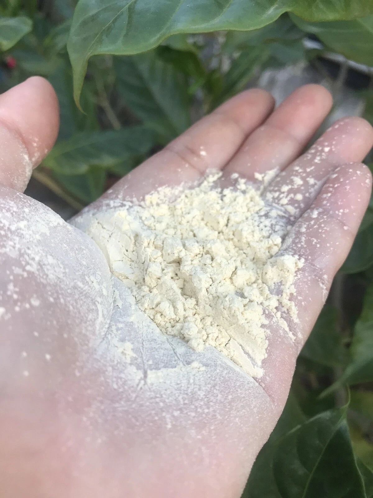 De Leaf Thanaka Talcum Powder texture on hand showing fine powder consistency
