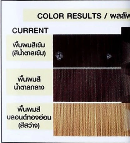 Dcash Hair Color Shampoo M2 color chart Natural Dark Brown shade guide