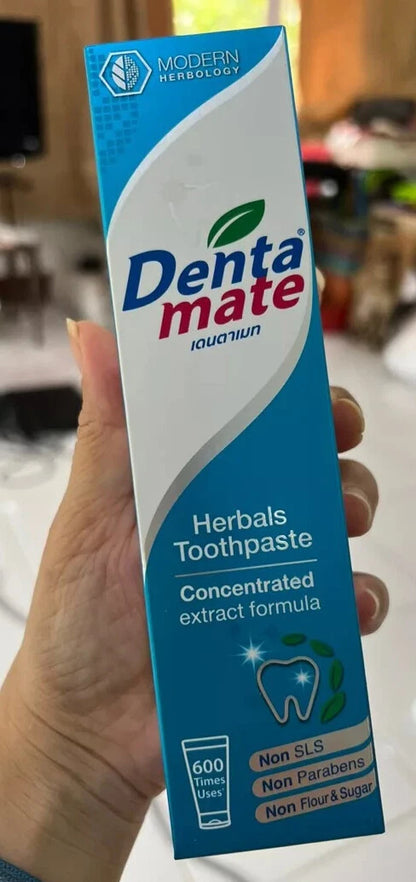 Dentamate Herbal Toothpaste tube in hand product view