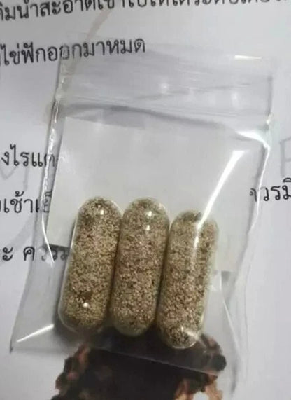 Moina Macrocopa Eggs Live Fish Food High Protein for Betta Guppy Fry 3 Capsules