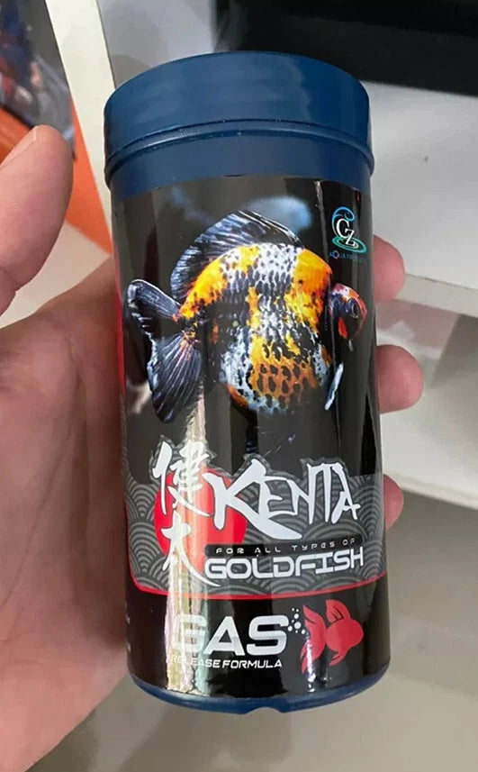 Hand holding Kenta Goldfish Food Gas Release Formula 150g container front label