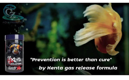 Kenta Goldfish Food Gas Release Formula with goldfish swimming in aquarium