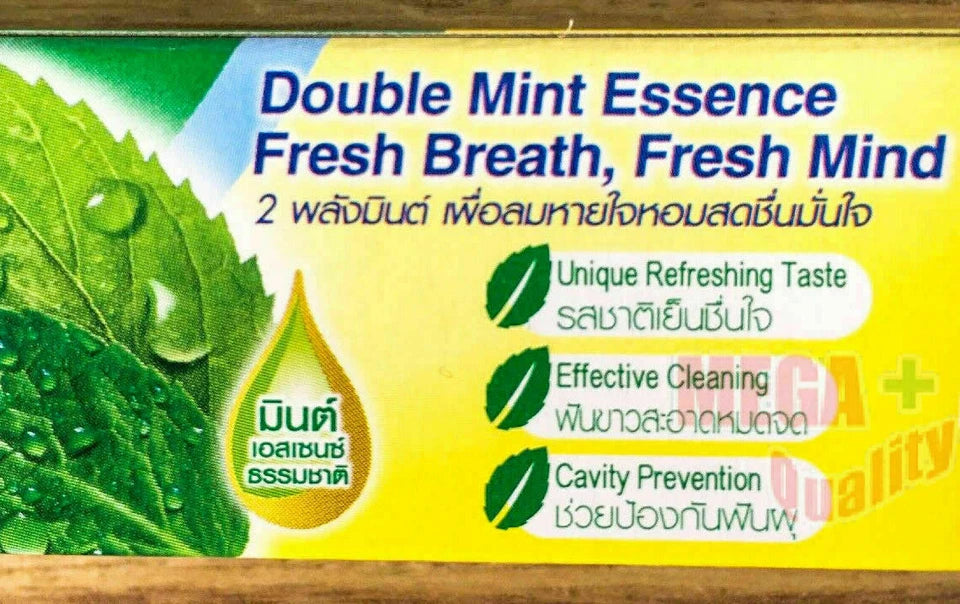 Darlie Double Action Toothpaste box back showing double mint action details