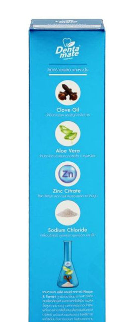 Dentamate Herbal Toothpaste tube in hand product view